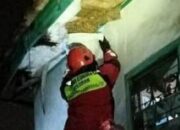 Aksi Damkar Cimahi Tangani Tawon Paling Berbahaya