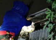 Damkar Kota Cimahi Tangani Serangan Tawon Vespa Affinis Yang Berbahaya