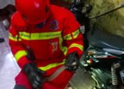 Pembasmian 115 Sarang Tawon Dilakukan Damkar Kota Cimahi