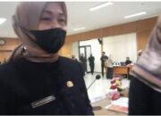 Dinas Lingkungan Hidup Kota Cimahi Rutin Periksa Kondisi Pohon