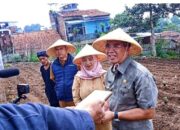 5000 bibit Cabai ke kelompok Tani Kota Cimahi Diberikan PJ Walikota Kota Cimahi H.Dicky Saromi