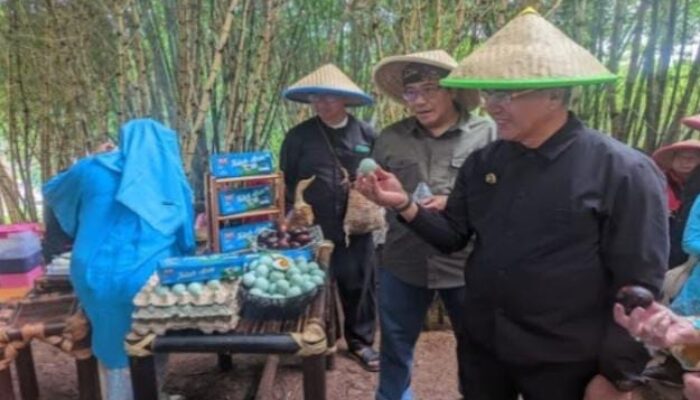 Eco Wisata Dan Desa Budaya Kota Cimahi Jadi Magnet Daya Tarik Wisatawan Untuk