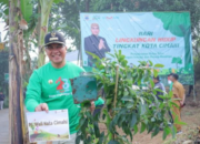 116 Bibit Pohon Ditanam Bekas TPA Leuwigajah,Oleh Dinas Lingkungan Hidup (DLH)Kota Cimahi