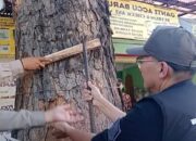 Gerakan Masyarakat Ngakal Digelar Dinas Lingkungan Hidup Kota Cimahi