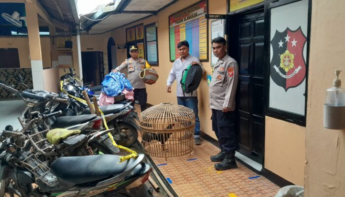 Polsek Blanakan Gerebek Arena Judi Sabung Ayam di Cilamaya Girang