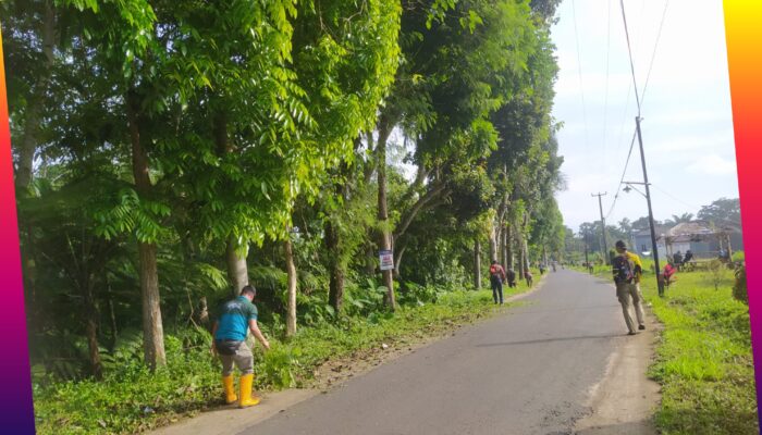 JUMSIH: Tradisi Bersih-Bersih Setiap Jumat di Desa Cicadas