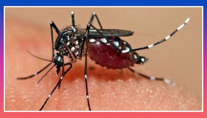Kasus DBD di Tasikmalaya Meningkat, Warga Dihimbau Terapkan PSN