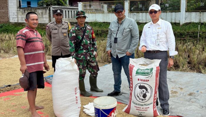 Penyerapan Beras Petani BULOG Jabar Tembus 352.680 Ton, Terbesar Sepanjang Sejarah
