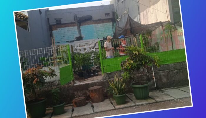 Ketua RW 04 Pademangan Timur: Itu Bukan Jualan, Tapi Lahan Tanaman Produktif Untuk Penilaian Proklim