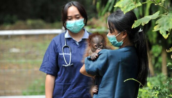 SPMD Desak Pengurus Bandung Zoo Tidak Sah untuk Angkat Kaki