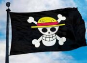 Bendera Anime One Piece Dilarang Berkibar