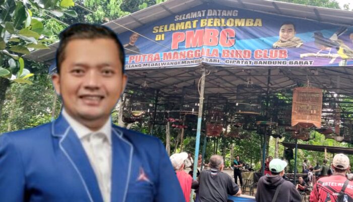 24 Tahun Demokrat Semakin Dekat Dengan Rakyat: 560 Peserta Antusias Ikuti Lomba Burung Berkicau 