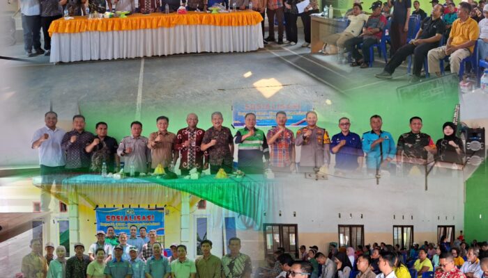 Komitmen PT Cahaya Murni Sejahtera: Dorong Ekonomi Morowali Utara Lewat Pertambangan Nikel