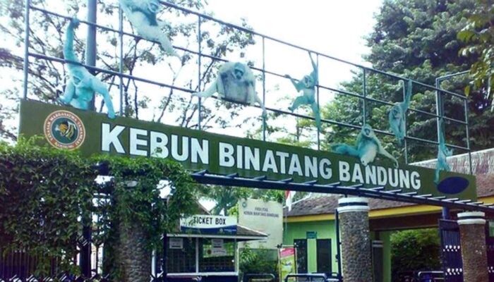 Sunda Melawan: Menjaga Bandung Zoo di Tengah Sengkarut Aset Publik