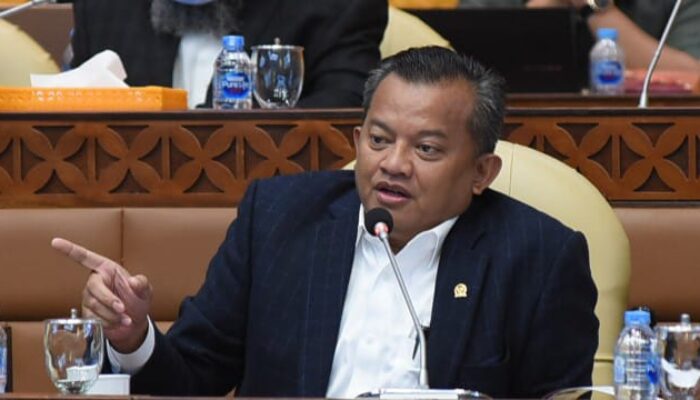 Penyegelan Wisata Puncak Picu PHK Massal, DPR Desak Presiden Evaluasi Kebijakan Menteri LH