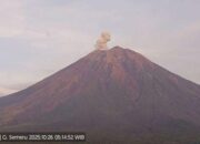 Hari ini, Gunung Semeru Erupsi Dua Kali Mencapai 700 Meter