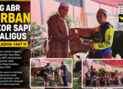 Iduladha Penuh Berkah, Kang ABR Qurban 3 Ekor Sapi Sekaligus