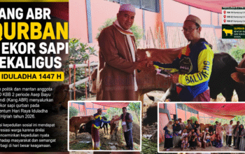 Iduladha Penuh Berkah, Kang ABR Qurban 3 Ekor Sapi Sekaligus