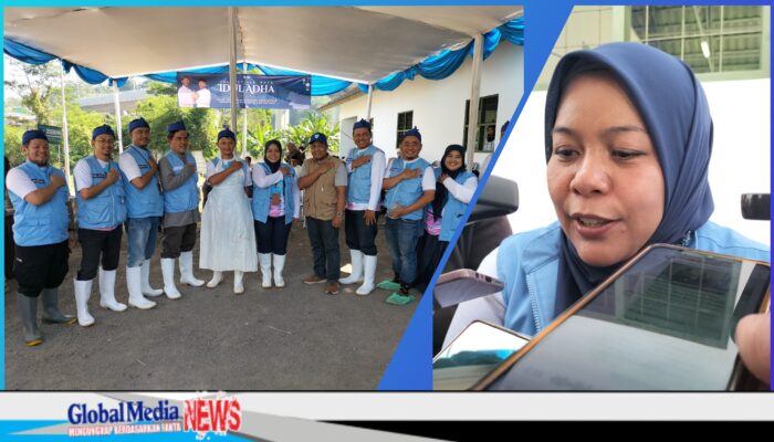 Tak Biasa! Wakil Bupati Bandung Barat Langsung Sembelih Sapi Jumbo Milik Jeje Ritchie Ismail