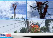 Jelang HUT ke-81 RI, PLN UP3 Cimahi Perkuat Jaringan Listrik Lewat Pemeliharaan Terencana