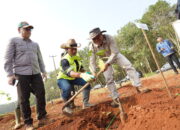 Pemprov Jabar Revitalisasi 32 Hektare Kebun Karet Jalupang, Penanaman Dikebut Oktober